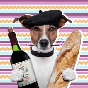 obraz na prezent z jack russel terrier