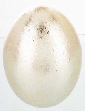 b596023ab41e8a3ffceea17148a1ce2e