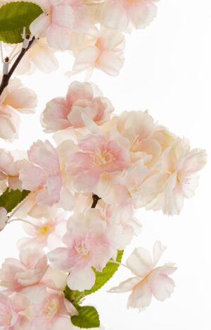 61a410e19246e1a1f2a3f87ce4730b5f