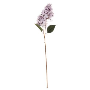 007c2f9f180c8df5a8abf7180e33e808