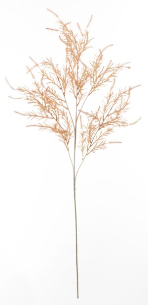 6fbcc5863c20036b4b1f6c1dcae7c541