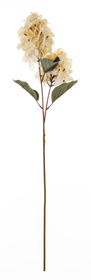 38e25d7e616c0d74d26325a7fc9e7278