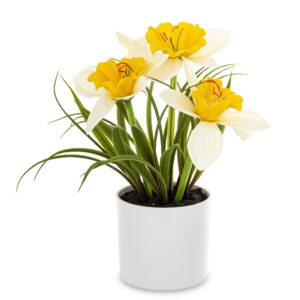 710ddee8c0c57de2d28dcbe4cb9abbb2