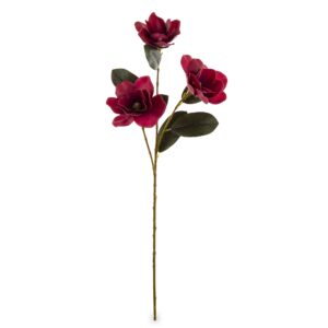 24f45204ce35b04044e473594b0db116