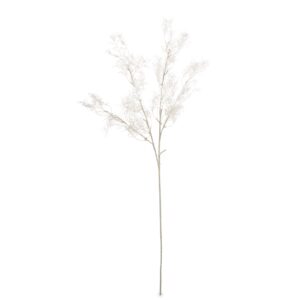 9546999847199486dddf839b8d2f5f59