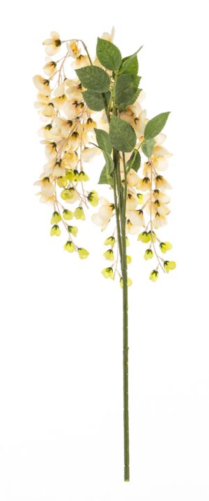 6ebdd10d81fefd6b4af6887a9e9b7020