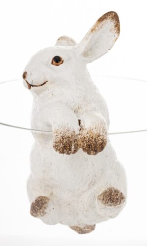 500b210a126e2764822bee01b226dc43