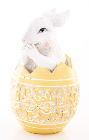 491c7d3f72faf3b5e8f64ba392c73f9f