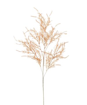 ceb311a7b59d8dd0c487b81764f7644a