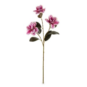 9a0e9c27374e9b2f34122cad7c3bc439