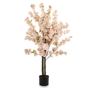 62270bee224278e44aa918788af50c8b