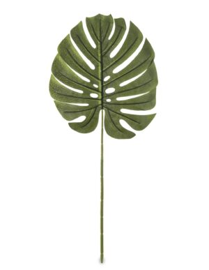 0dcbae4ea80c25a1e2c8540207544806