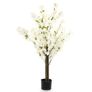 2ed5abb7d1a9da6a89218cd970319dbc