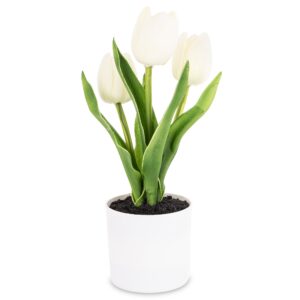 ec80c519db65eb70371e284f31709efb