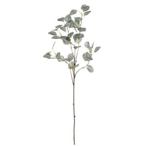 e87054d706bc74a977d4d354f176003b