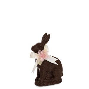 e79bc5ec1253cc2c86c22dea0bb89504