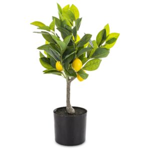 c3b4aa3e0bf92c712a450c2720b9cb3a