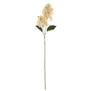 bd3cfbde79ed1aacf22313dc13facdea