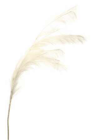 20951497cd6221ce700c1caa230cd59d