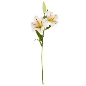 7fdb84104721ba5b7542d622a5f94388