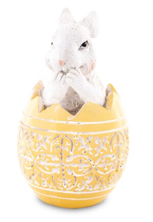 44e49bd48a2dbe49d8f855c2291f2425