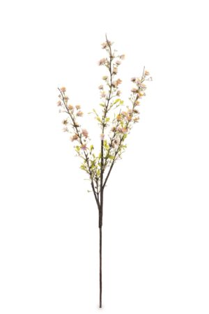 b388e2e8fe56071670b269db9c052545