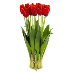 c438cdf88150b9a6cf7db089dcb0008a