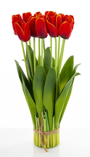 732a23ed3764845b997e0f654b0f73a5