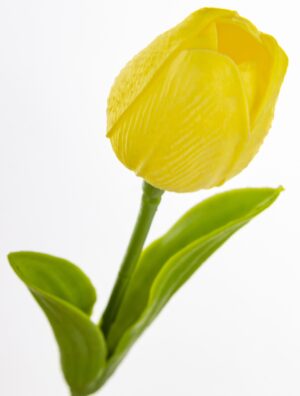 38a774f6c782828165d7c106db5e5cac