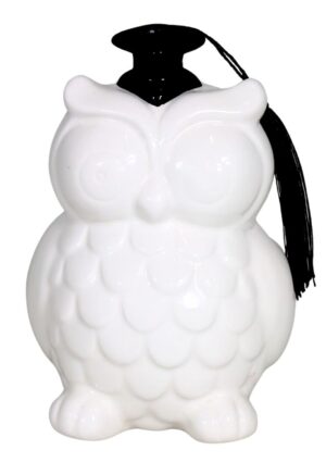 d516c6744e32e8d0e5bdac30437a9553